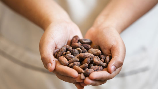 Peruvian cacao beans